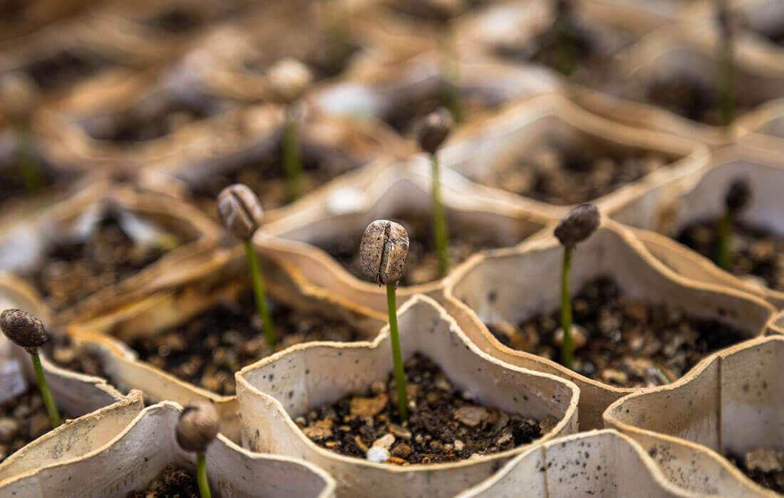 Misconceptions About Organic Foods